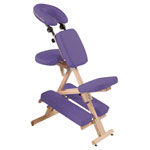 Therapiestuhl Delta Harmony inkl. Schultertragegurt