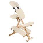 Therapiestuhl Delta Harmony inkl. Schultertragegurt
