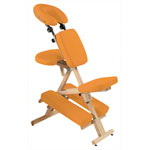 Therapiestuhl Delta Harmony inkl. Schultertragegurt