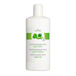 cosiMed Natürliche Massagelotion Ginkgo-Limette, 1 l