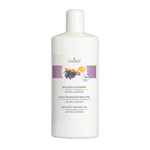 cosiMed Wellness-Massageöl Amyris-Lavendel, 1 l