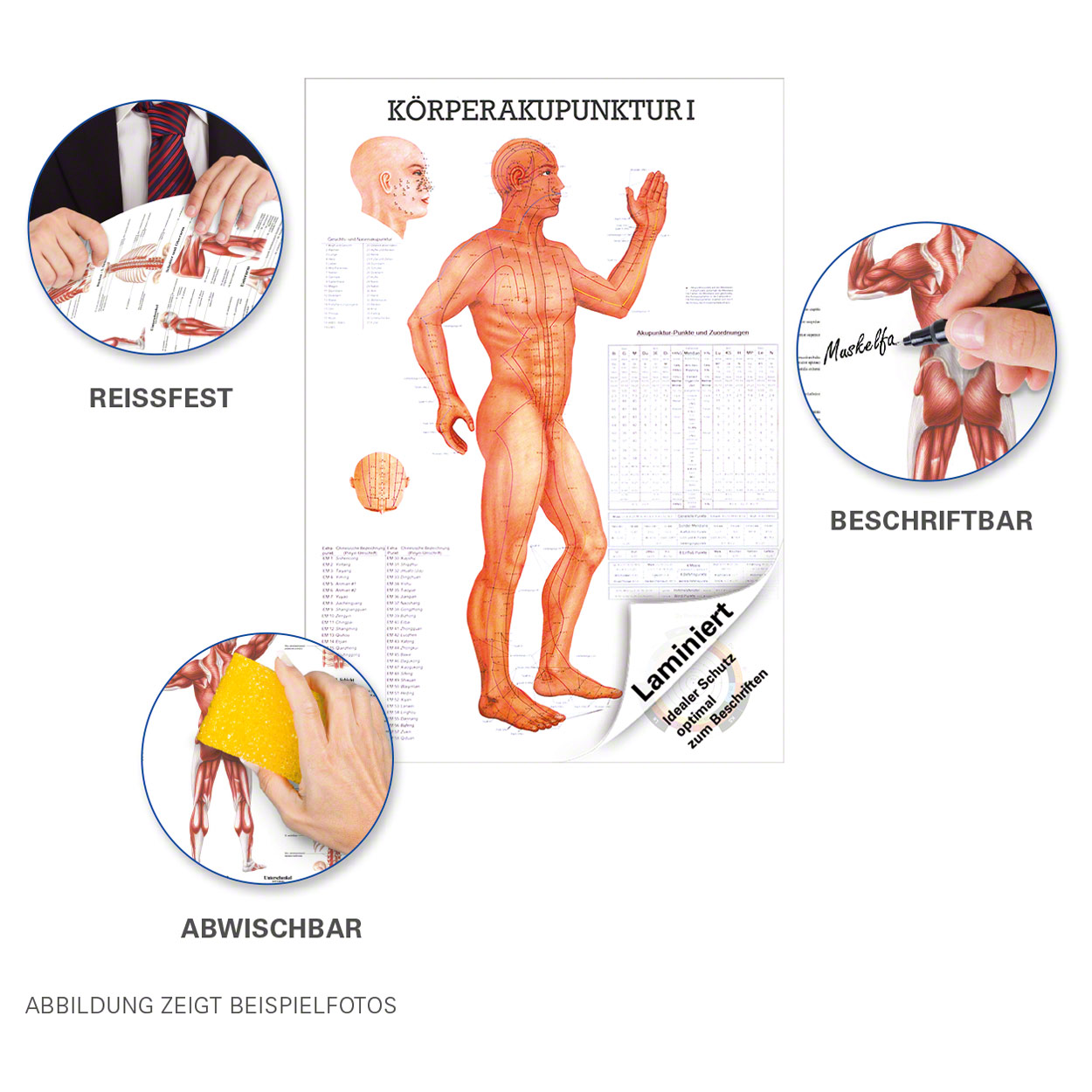 Karte Verdauungsorgane Des Menschen Format 70x100cm-9614