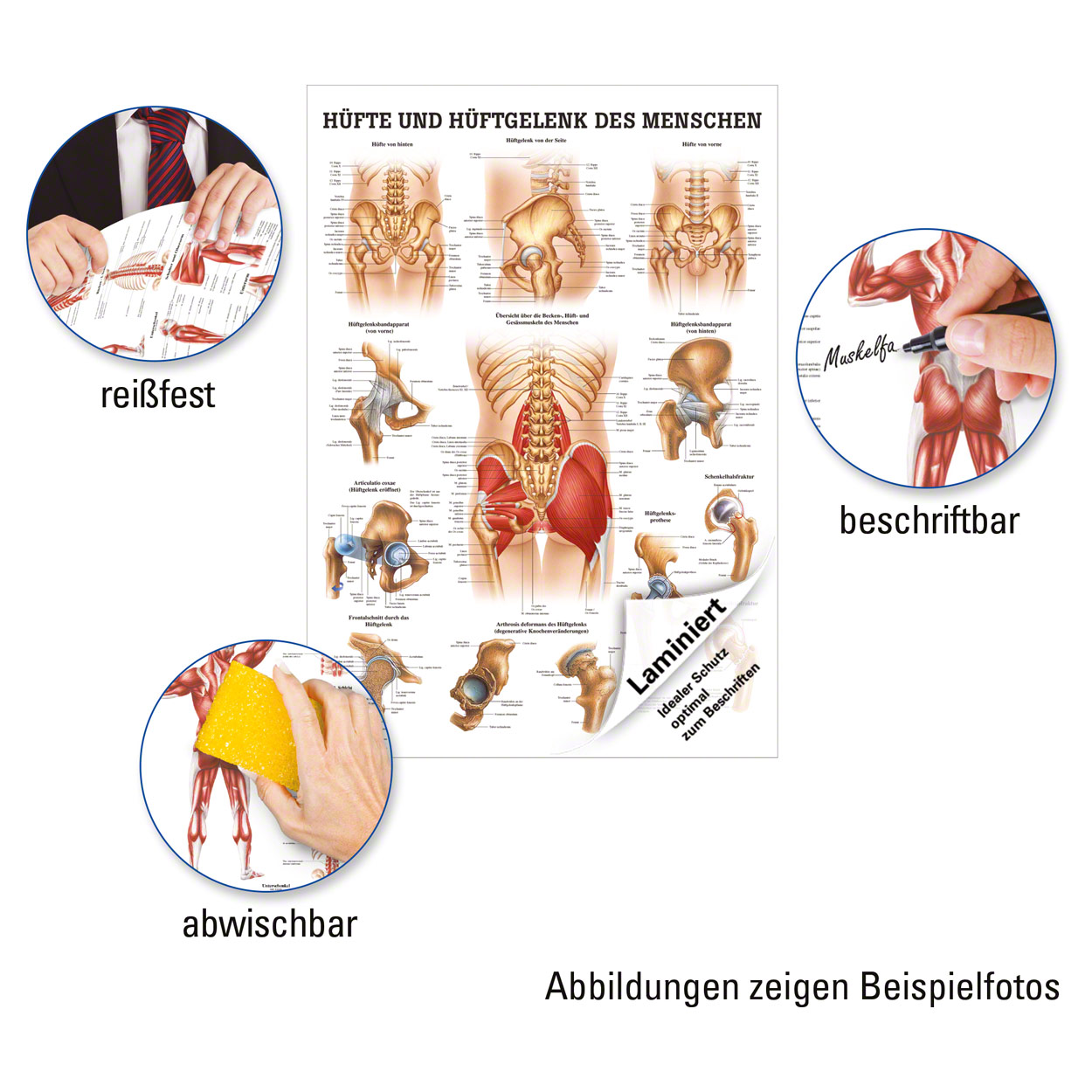 Bild 6 von 11