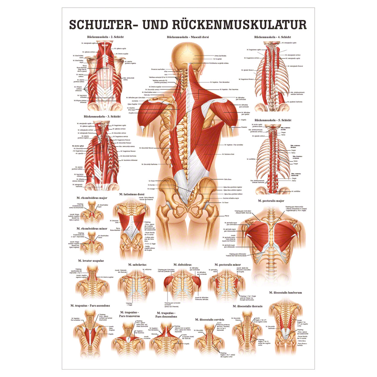 Bild 9 von 11