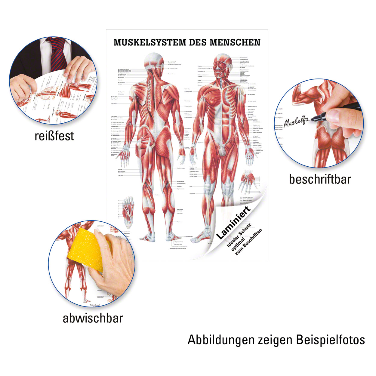 Bild 3 von 4