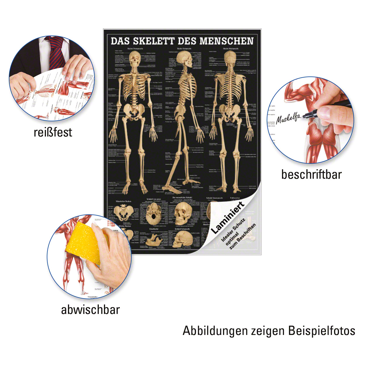 Bild 3 von 4
