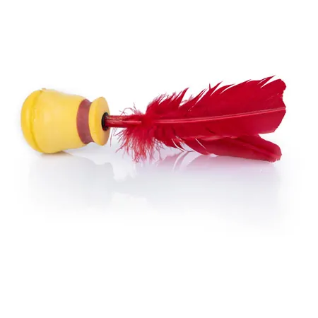 Indiaca Tennis-Set inkl. 2 Spezialschlger und Ball