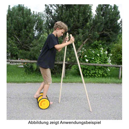 Pedalo Koordinationstrainer Sport