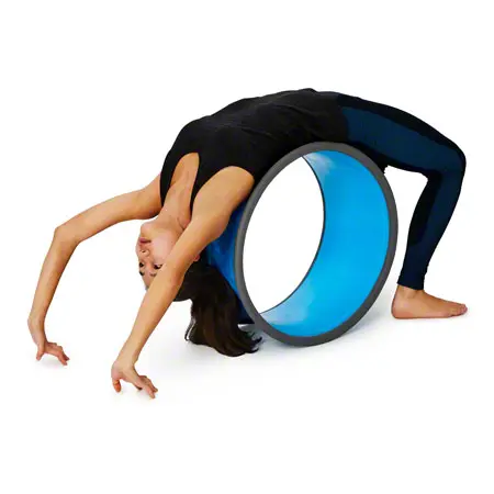 Gonge Body Wheel Large,  59 cm