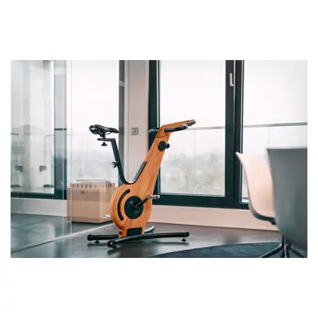 NOHrD Bike-Fahrradergometer, Kirsche