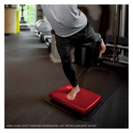 AIREX Balance-pad Cloud