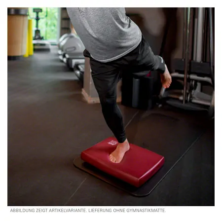 AIREX Balance-pad Cloud