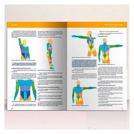 Buch Richelli's Fascial Quadrant System (RFQS) - Diagnose und Behandlung des Fasziensystems, 180 Seiten