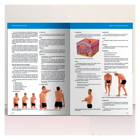 Buch Richelli's Fascial Quadrant System (RFQS) - Diagnose und Behandlung des Fasziensystems, 180 Seiten