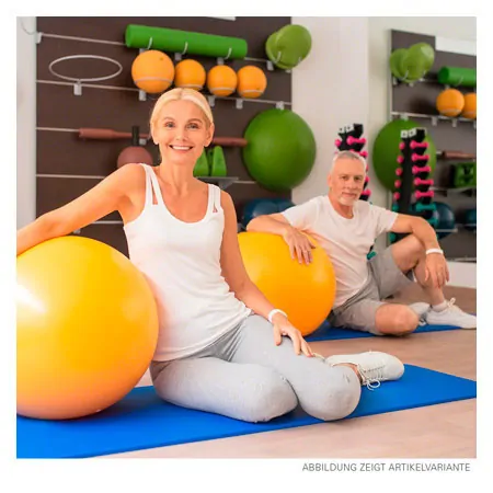 PEZZI Gymnastikball, � 42 cm