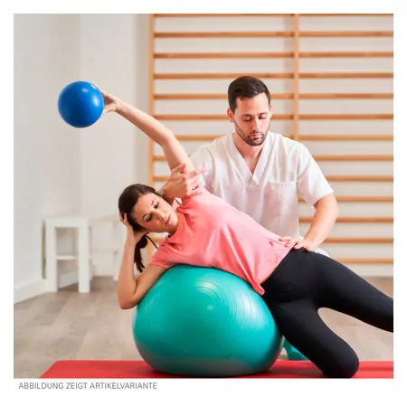 PEZZI Gymnastikball,  65 cm