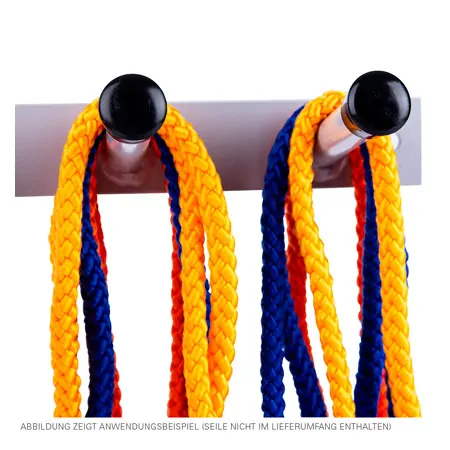 Aufhngevorrichtung fr Springseile