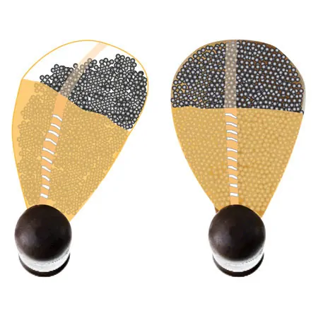 NOHrD Swing Hantel Nussbaum, 8 kg