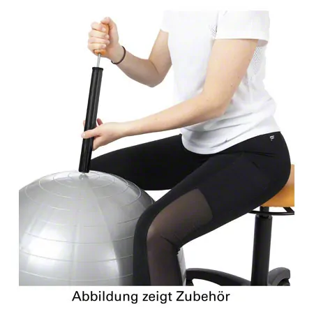 Ballpumpe schwarz,  28 mm x 38 cm inkl. 10 Nadelventilen