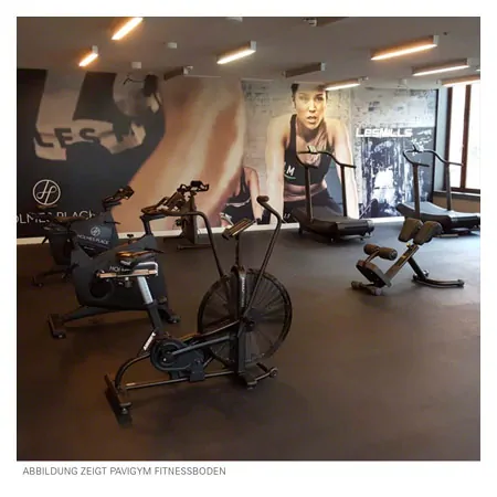 PAVIGYM Randleiste fr Endurance und Performance+, 100x10x0,5 cm