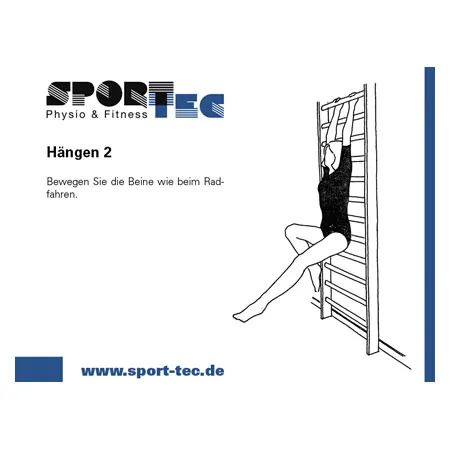 Sprossenwand nach DIN, B x H 100 x 260 cm, 16 Sprossen