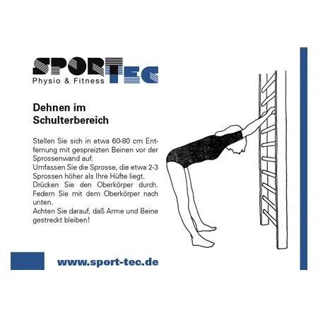 Sprossenwand nach DIN, B x H 200 x 260 cm, 2 Felder, je 16 Sprossen
