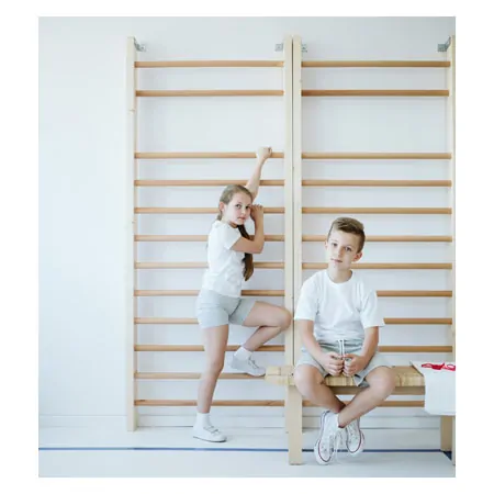 Sprossenwand, BxH 80x210 cm, 12 Sprossen