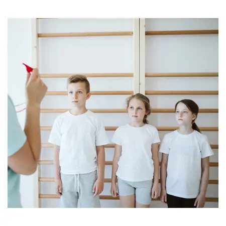 Sprossenwand, BxH 80x210 cm, 12 Sprossen