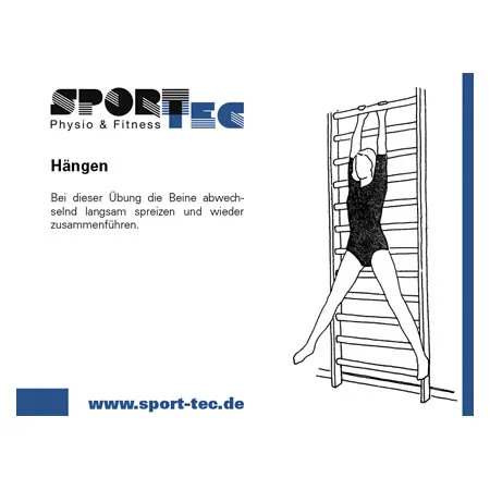 Sprossenwand, BxH 80x210 cm, 12 Sprossen