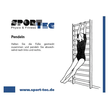 Sprossenwand, BxH 80x230 cm, 14 Sprossen