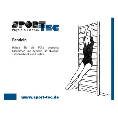 Sprossenwand, BxH 100x230 cm, 14 Sprossen