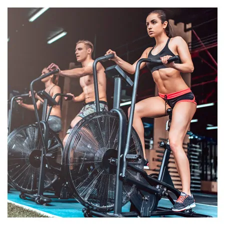 ASSAULT FITNESS AirBike Classic