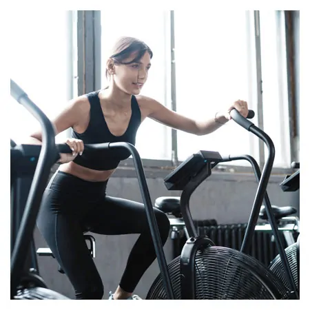 ASSAULT FITNESS AirBike Pro
