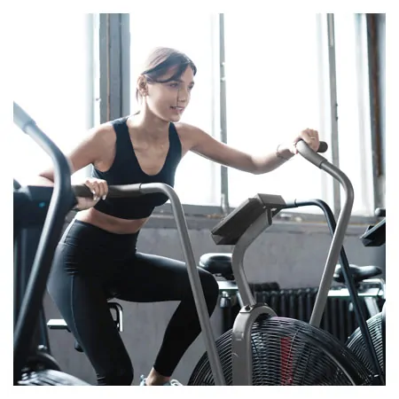 ASSAULT FITNESS AirBike Elite