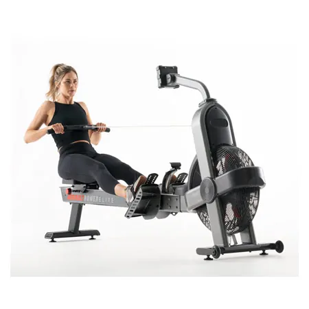 ASSAULT FITNESS Rudergert Rower Elite