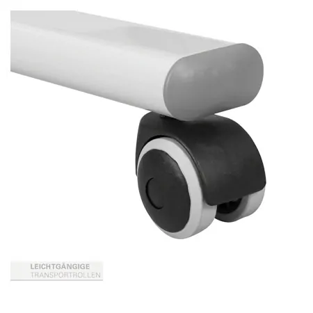 Therapiespiegel XL, HxB 170x100 cm, fahrbar