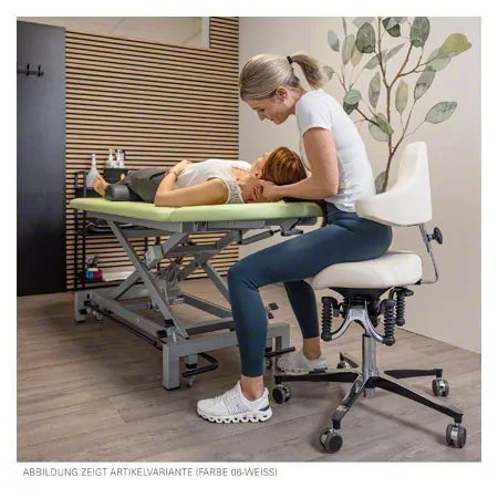 BIOSWING oneUP EASY mit Rckensttze