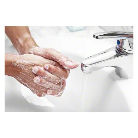 Baktolin Foam CleanSafe, 1 l
