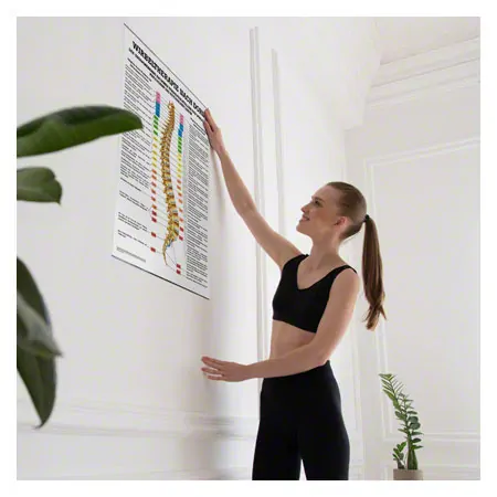 Poster Wirbeltherapie nach Dorn, LxB 70x50 cm