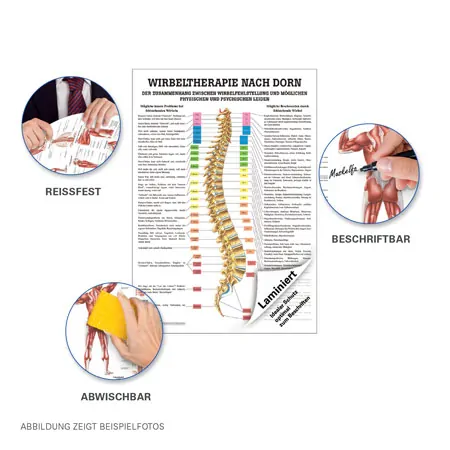 Poster Wirbeltherapie nach Dorn, LxB 70x50 cm