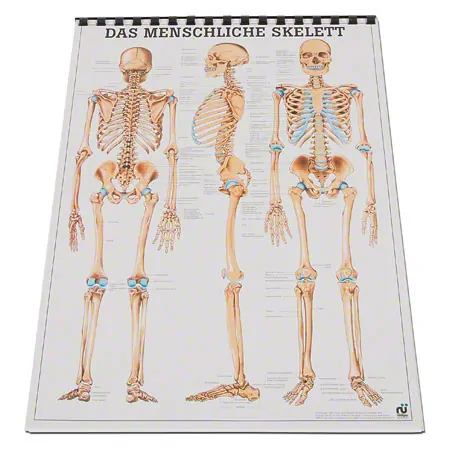 Mini-Poster Set, 20 Stck