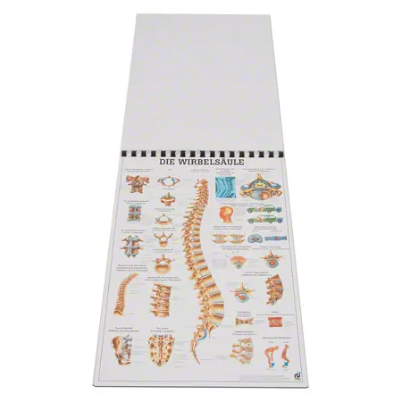 Mini-Poster Set, 20 Stck