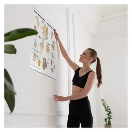 Poster Hand-Akupunktur, LxB 70x50 cm