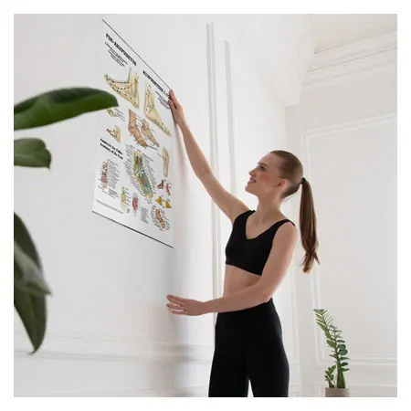 Poster Fu-Akupunktur, LxB 70x50 cm