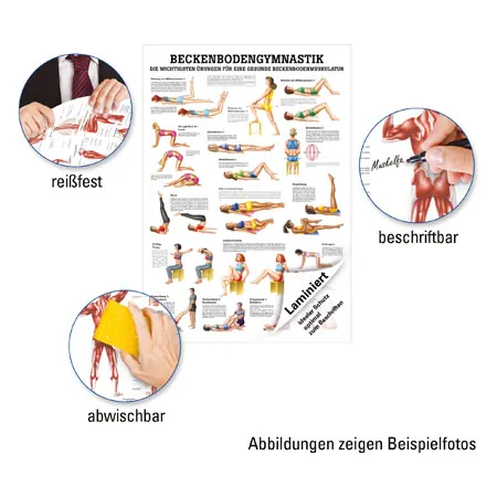 Mini-Poster Beckenbodengymnastik, LxB 34x24 cm