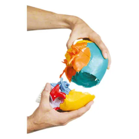 Anatomisches Modell Steckschdel, 18-tlg., bunt