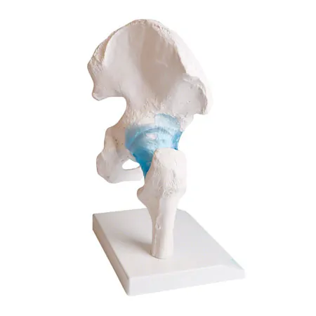 H�ftgelenk, LxBxH 22x30x20 cm