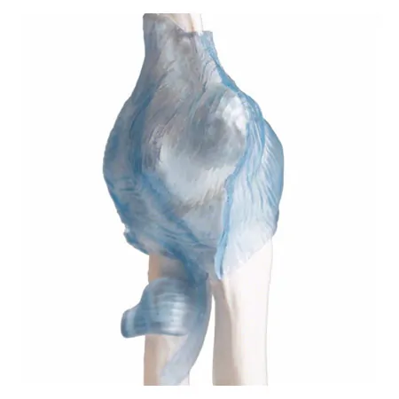 Ellenbogengelenk, LxBxH 28,5x16,5x14,5 cm