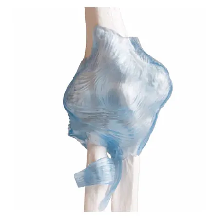 Ellenbogengelenk, LxBxH 28,5x16,5x14,5 cm