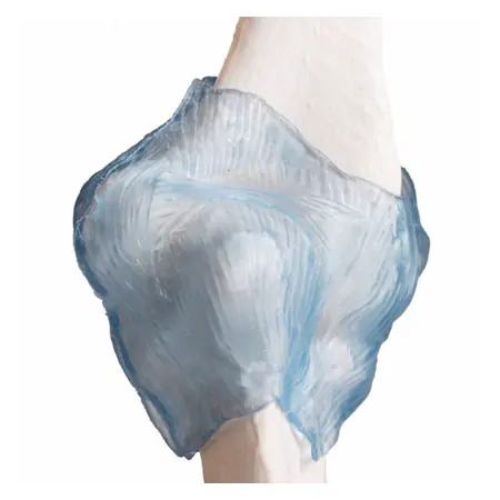 Ellenbogengelenk, LxBxH 13x13x37 cm